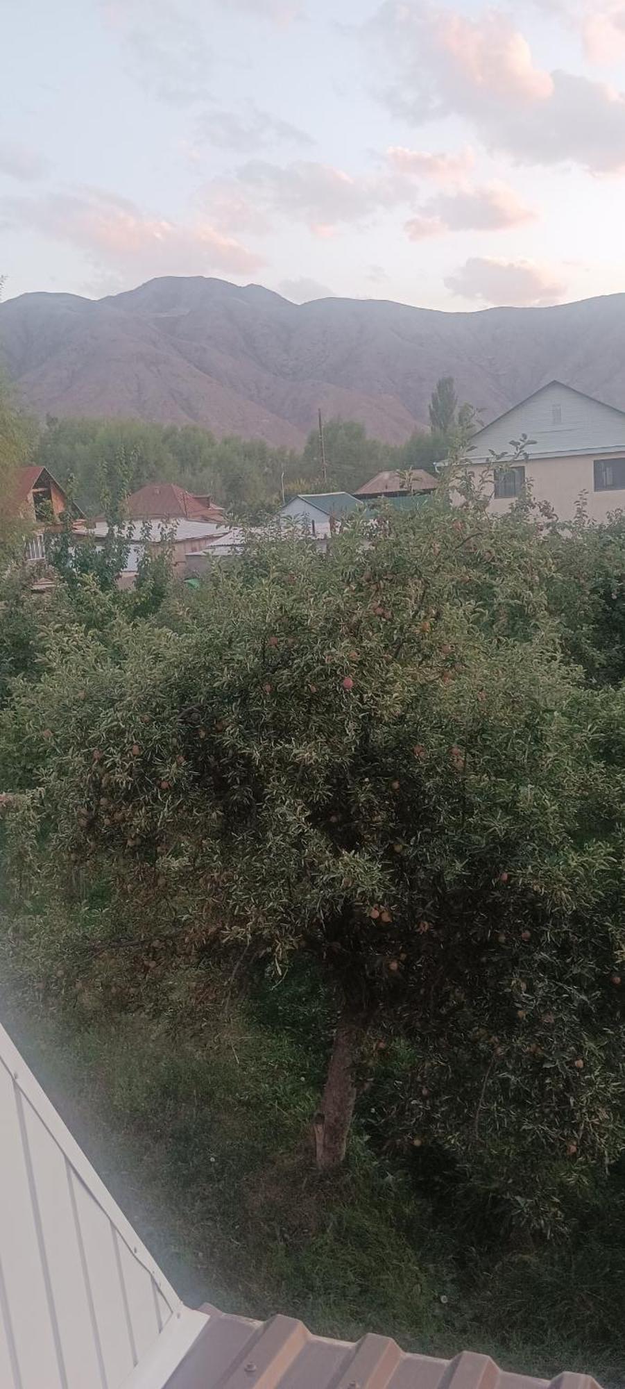 "Kamchybek Ata" Guest House B&B Tert-Kul' Bagian luar foto
